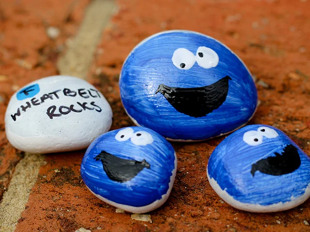 Cookie Monster Rocks