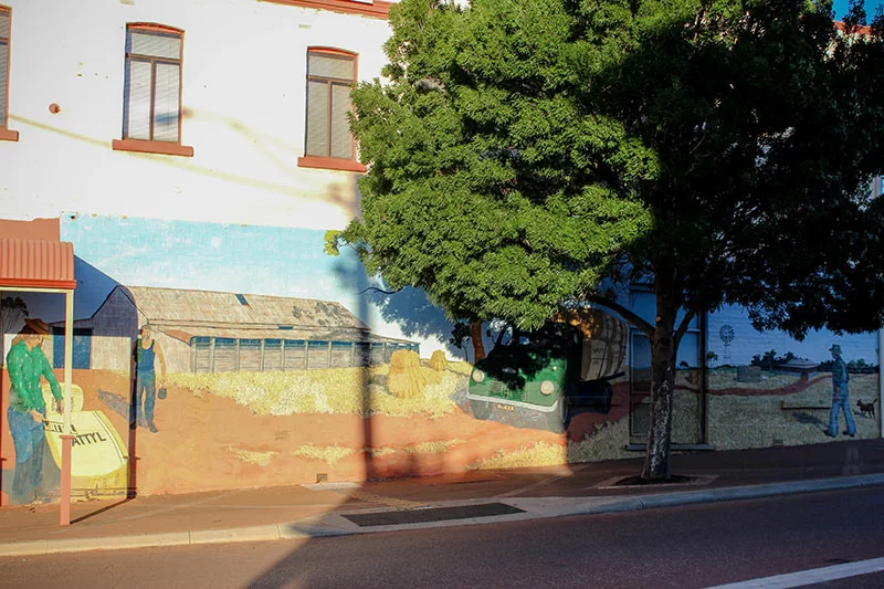 Northam Grey Street Murals